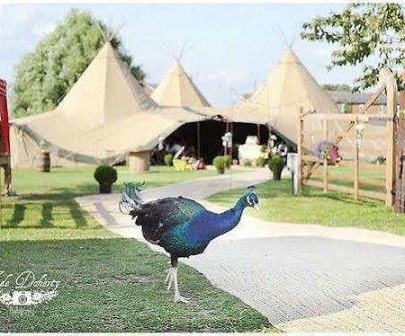 Skipbridge Farm Shepherds Huts Campground Green Hammerton Kültér fotó