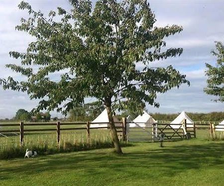Skipbridge Farm Shepherds Huts Campground Green Hammerton Kültér fotó