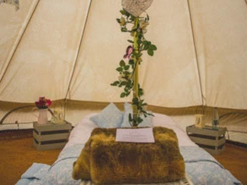 Skipbridge Farm Shepherds Huts Campground Green Hammerton Kültér fotó