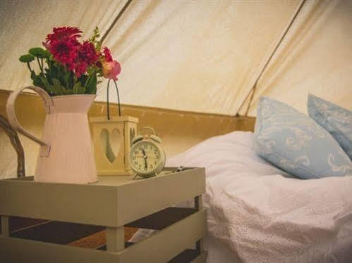 Skipbridge Farm Shepherds Huts Campground Green Hammerton Kültér fotó